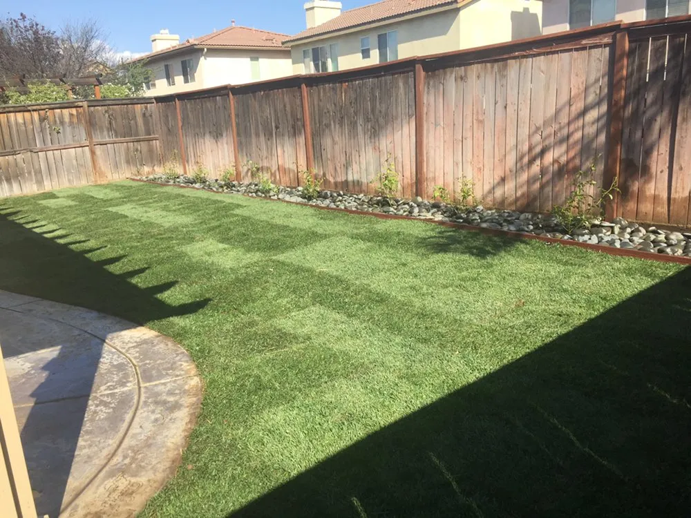 Professional yard maintenance for homes across Murrieta, CA - Le'Scape
