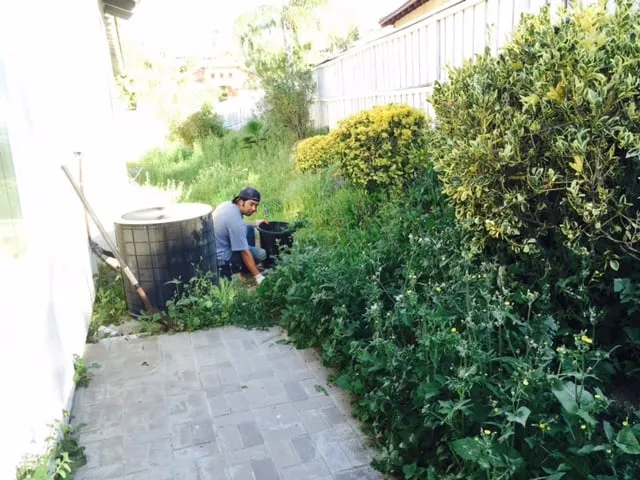 Trusted yard maintenance for beautiful yards in Murrieta, CA by Le'Scape