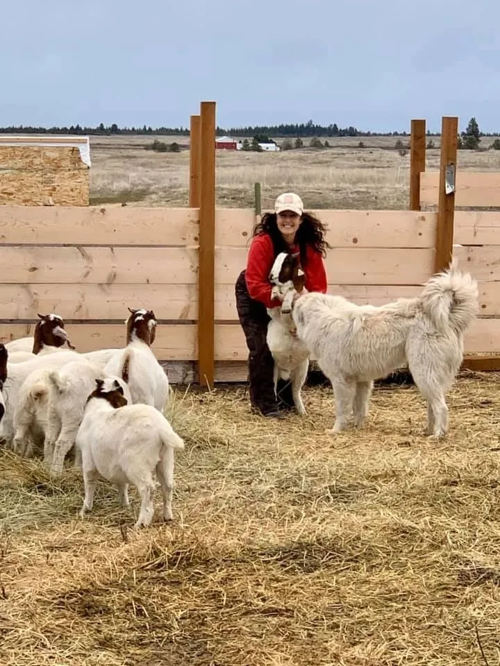 Professional residential landscaping near you in Cheney, WA by Leshay Goat Rental
