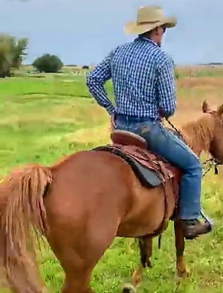 Professional outdoor landscaping in Cheney, WA by Leshay Goat Rental