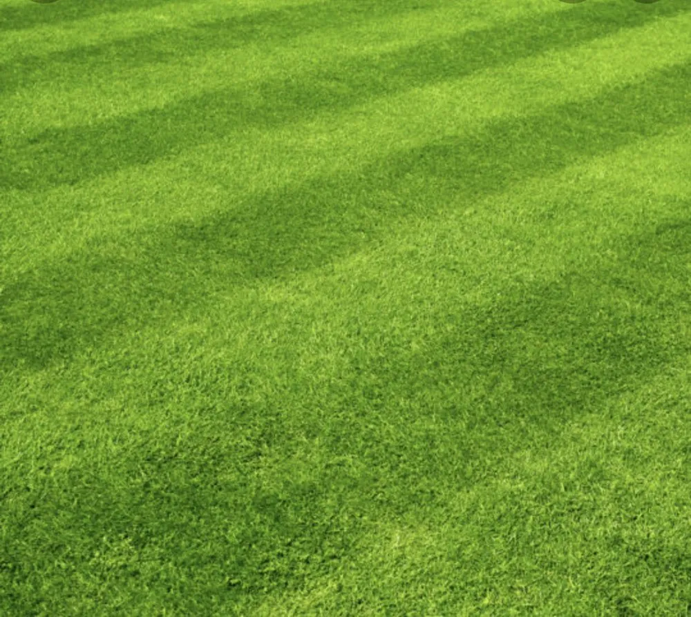 Top-rated residential landscaping in Cleveland, OH by Leshown & Son Landscaping