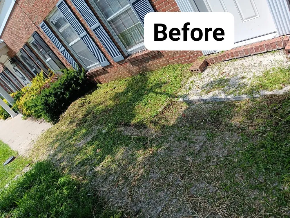 Affordable yard cleanup service in Mexico, MO - Lesieur's lawn care