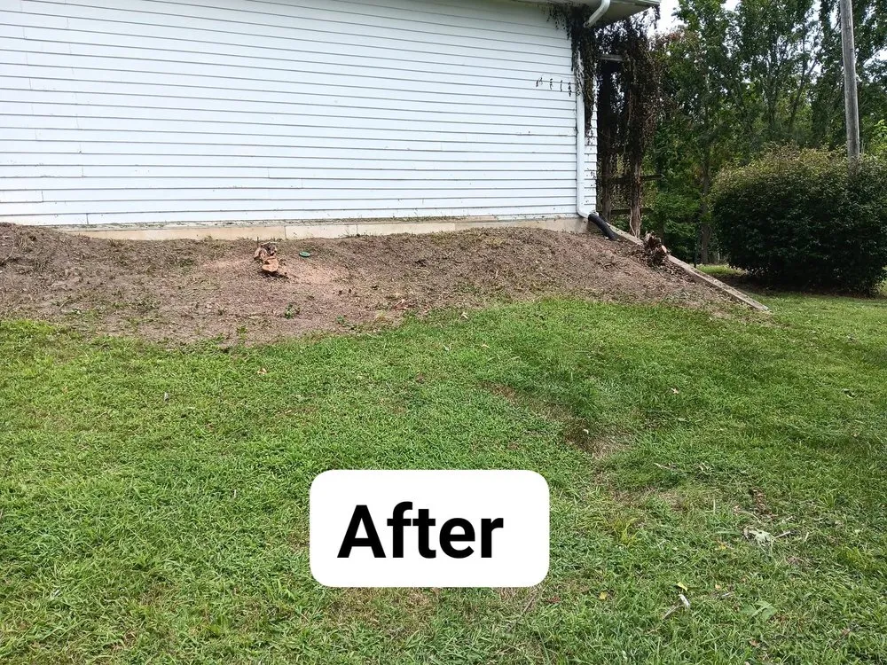 Top-rated yard maintenance in Mexico, MO by Lesieur's lawn care