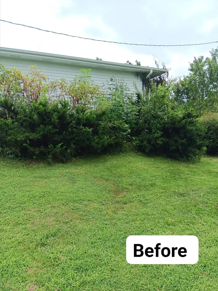 Affordable outdoor landscaping for outdoor upgrades across Mexico, MO - Lesieur's lawn care