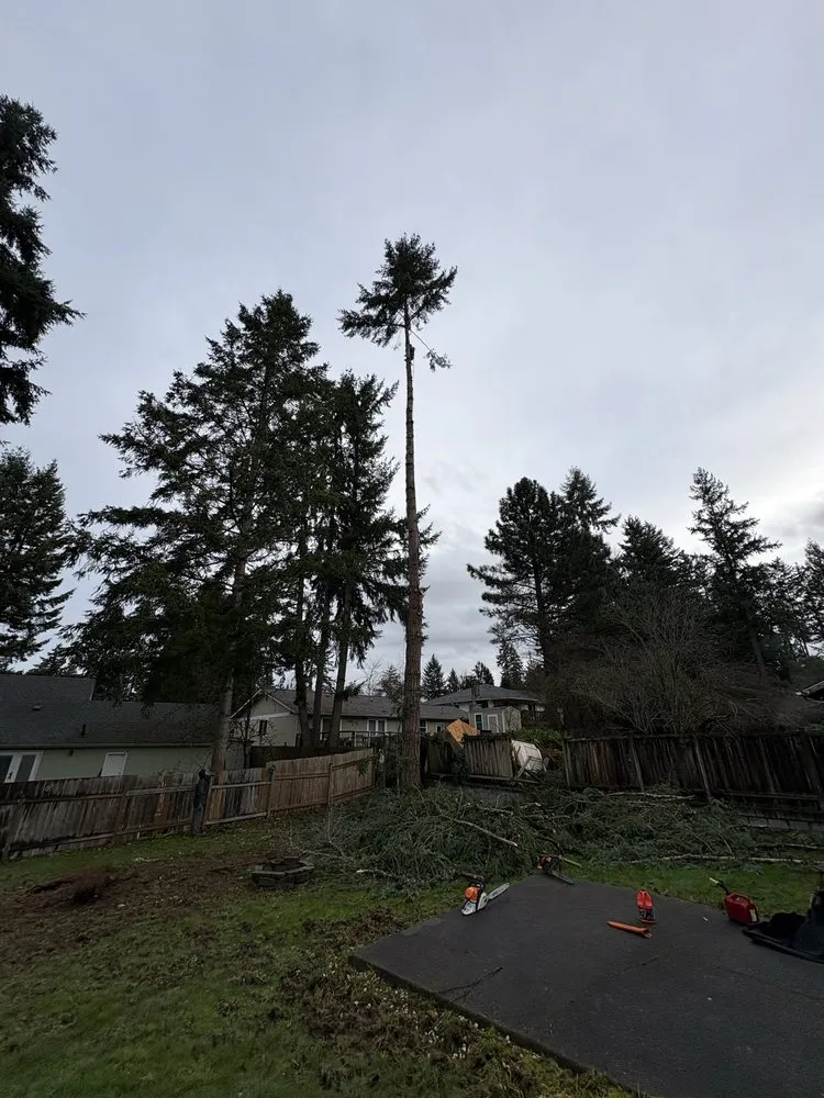 Trusted landscape design near you in Renton, WA by Lesko Tree Service And Landscape