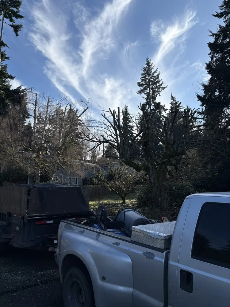 Affordable lawn care service experts serving Renton, WA - Lesko Tree Service And Landscape