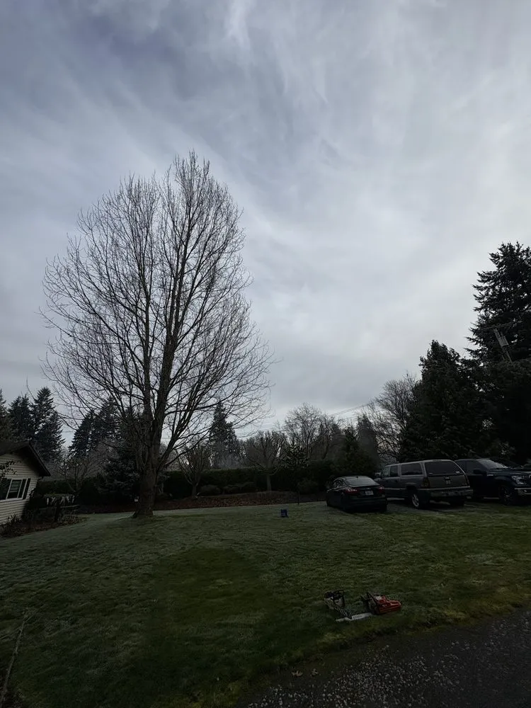 Local garden landscaping near you across Renton, WA - Lesko Tree Service And Landscape