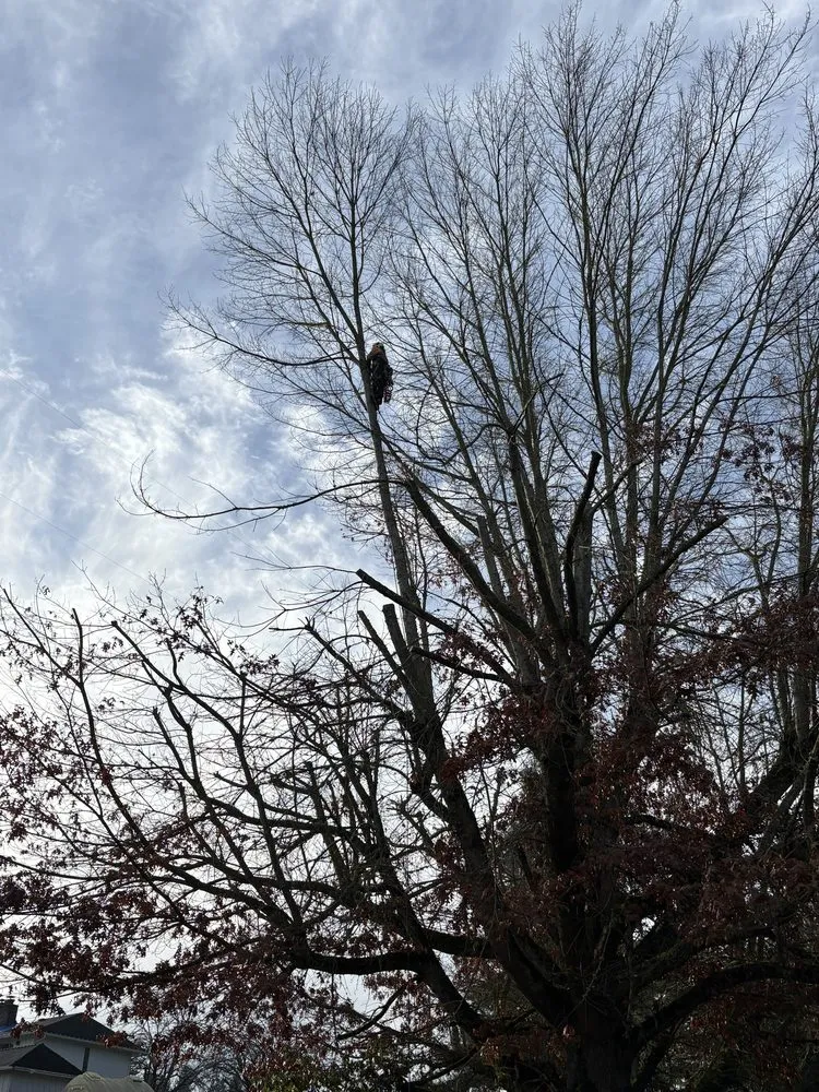 Professional landscape design experts serving Renton, WA - Lesko Tree Service And Landscape