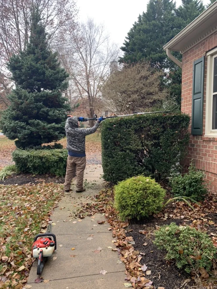 Trusted outdoor landscaping in Arlington, VA - Lesley’s Tree and Landscaping