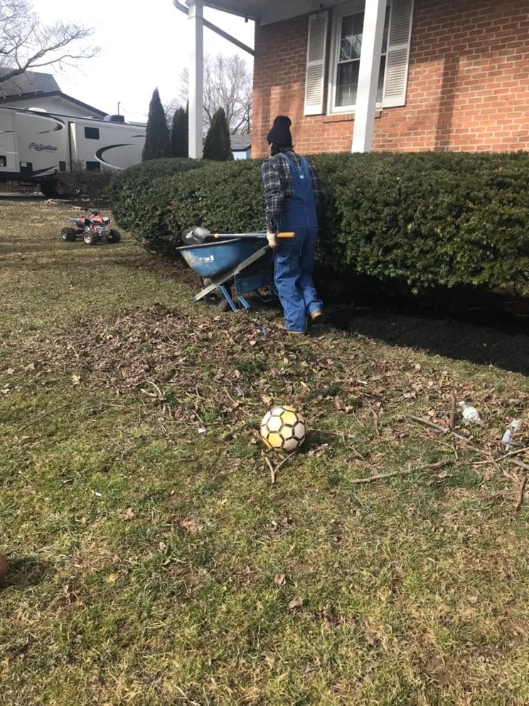 Trusted yard cleanup service for homes across Arlington, VA - Lesley’s Tree and Landscaping