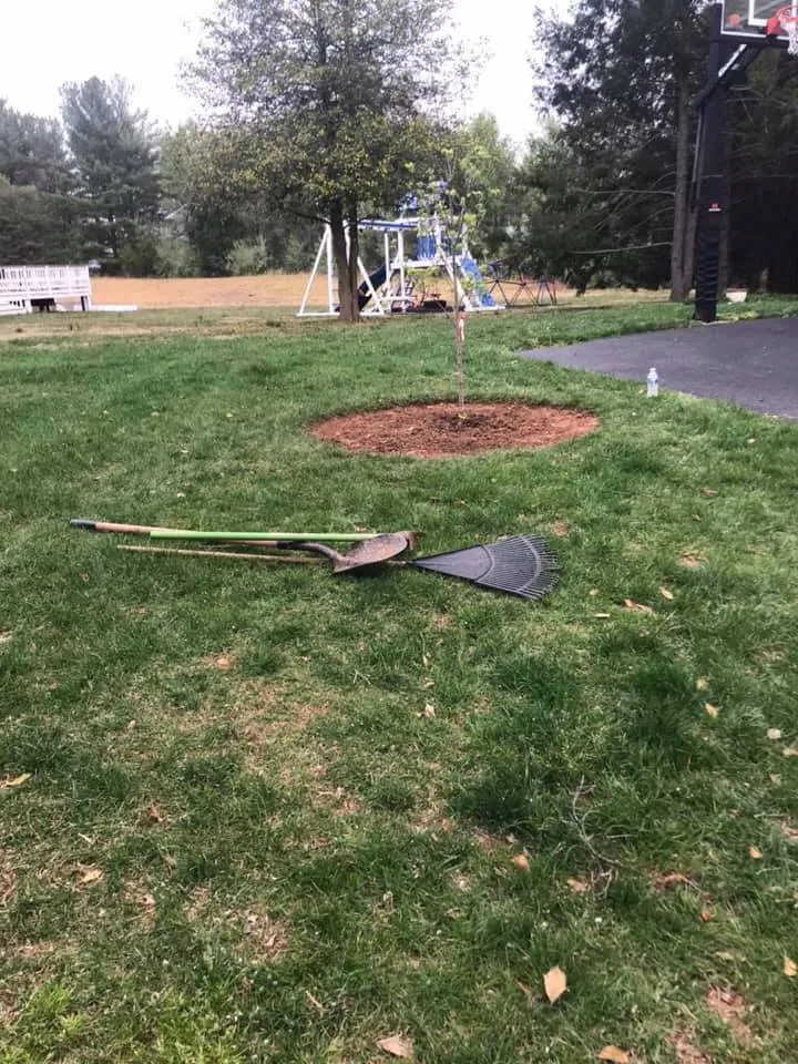 Professional lawn mowing service experts serving Arlington, VA - Lesley’s Tree and Landscaping