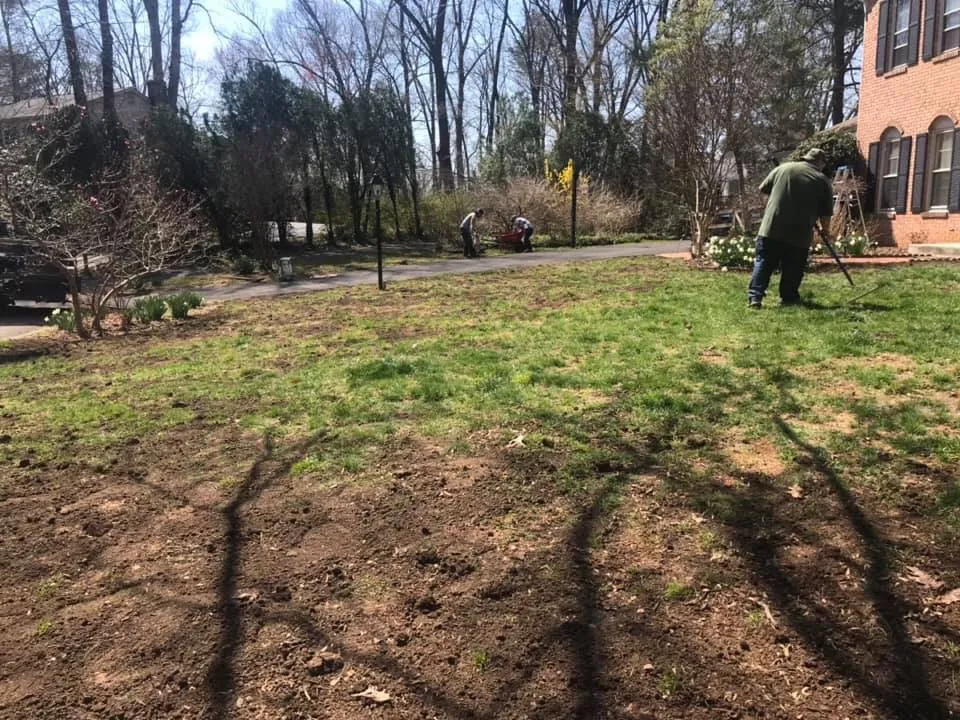 Affordable yard cleanup service in Arlington, VA by Lesley’s Tree and Landscaping