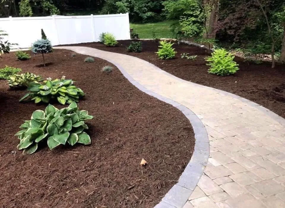 Top-rated outdoor landscaping for homes in Arlington, VA by Lesley’s Tree and Landscaping
