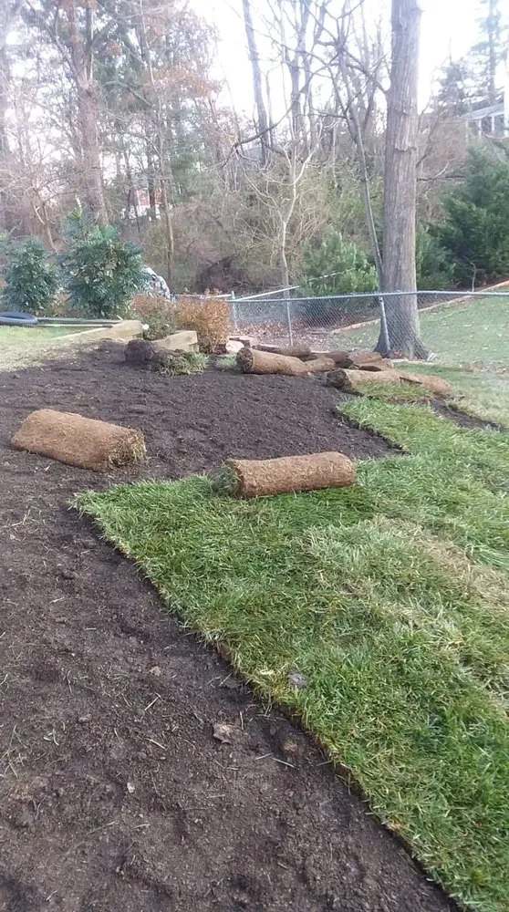 Top-rated landscape design in Arlington, VA by Lesley’s Tree and Landscaping