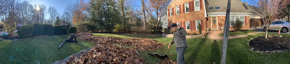 Custom yard maintenance for homes in Arlington, VA by Lesley’s Tree and Landscaping