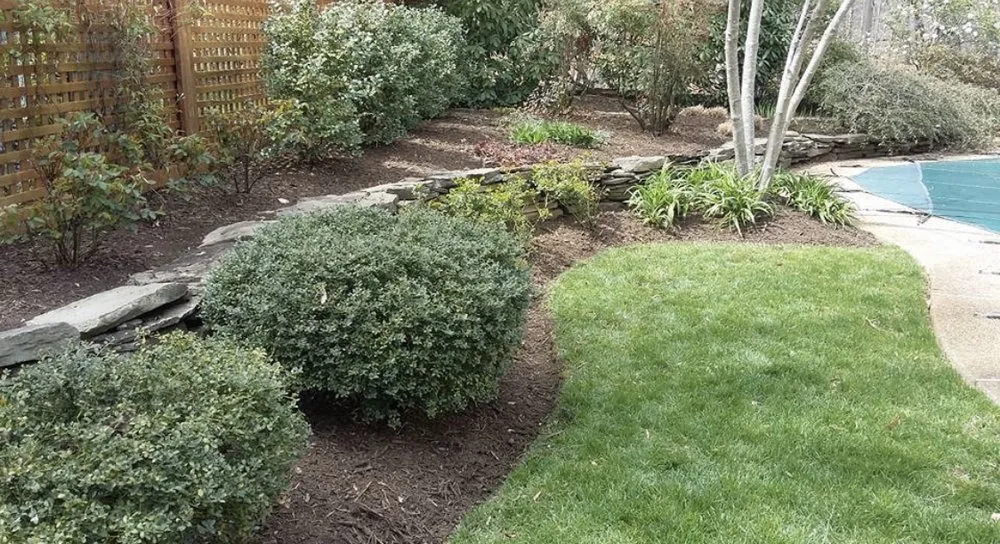 Reliable outdoor landscaping for homes across Arlington, VA - Lesley’s Tree and Landscaping