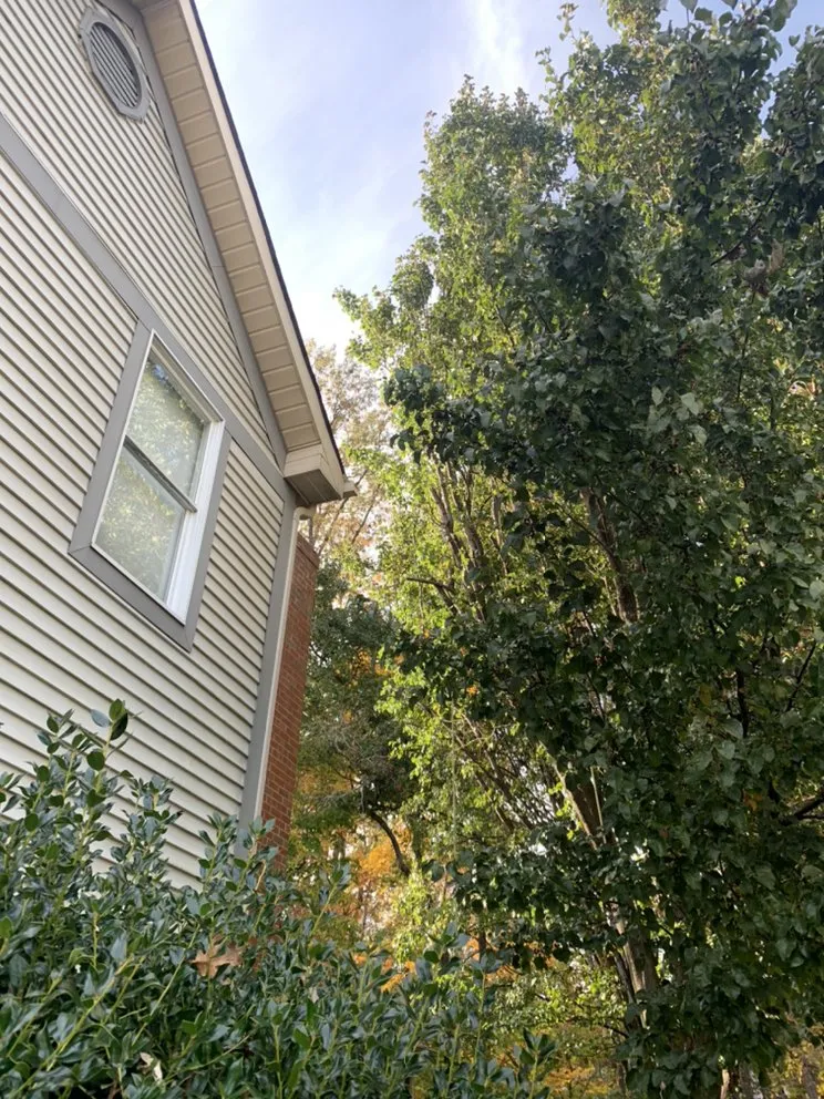 Trusted landscape design for residential properties in Arlington, VA by Lesley’s Tree and Landscaping