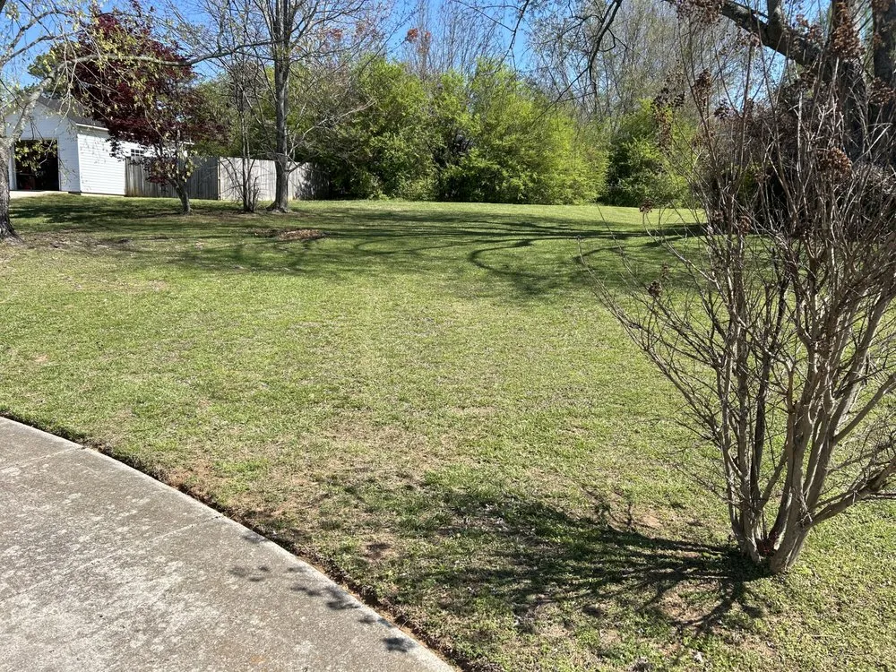 Trusted lawn care service experts serving Huntsville, AL - Leslie & Son Lawn Care