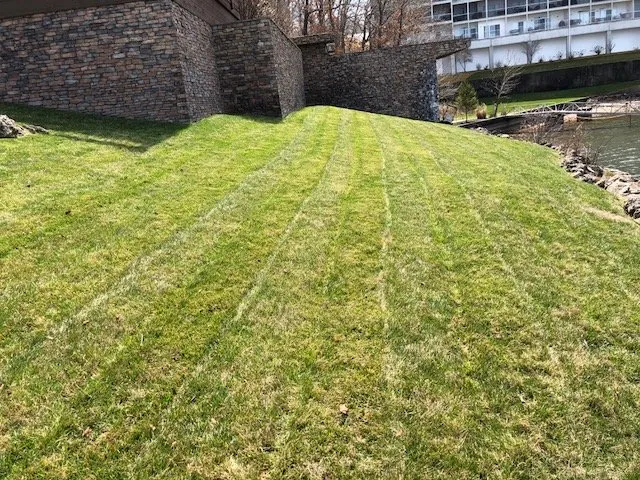 Local yard maintenance for beautiful yards across Osage Beach, MO - Less Junk Removal + Landscaping