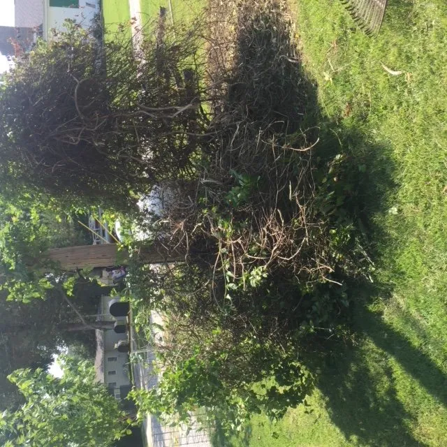 Custom outdoor landscaping in Osage Beach, MO by Less Junk Removal + Landscaping