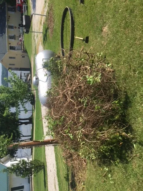 Top-rated lawn care service in Osage Beach, MO by Less Junk Removal + Landscaping