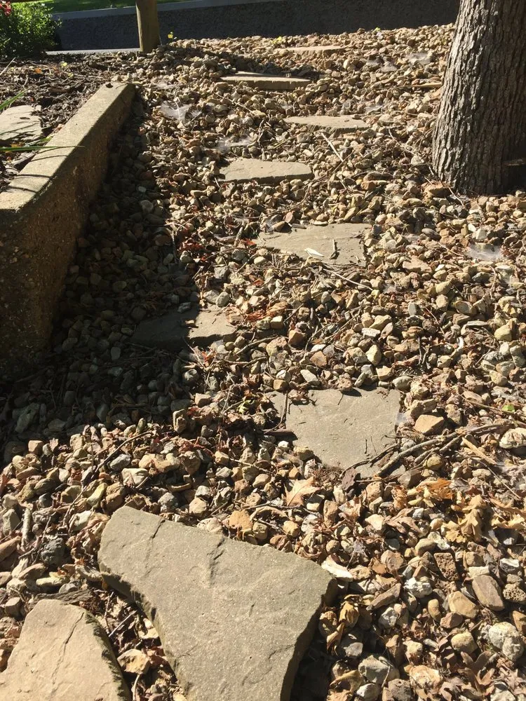 Professional yard cleanup service in Osage Beach, MO by Less Junk Removal + Landscaping