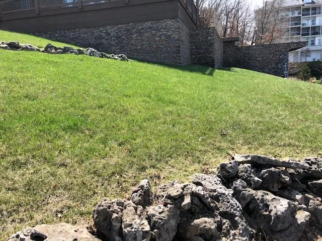 Reliable garden landscaping for year-round maintenance across Osage Beach, MO - Less Junk Removal + Landscaping