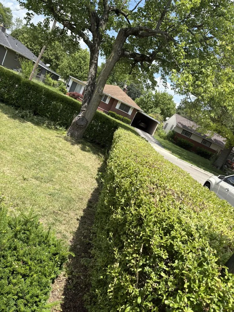 Trusted residential landscaping for residential properties in Columbus, OH by Lessons And Blessings