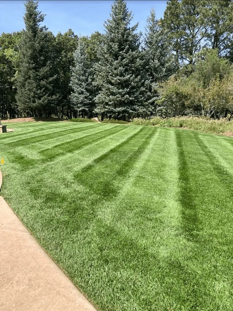 Custom yard maintenance in Trenton, NJ - Lester Landscaping