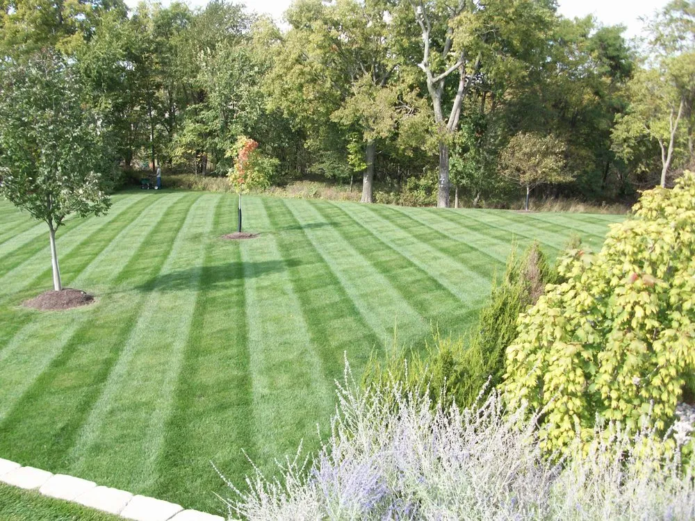 Reliable yard maintenance with custom design in Trenton, NJ by Lester Landscaping