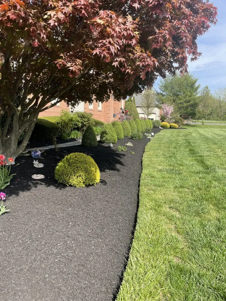Custom lawn care service for homes in Trenton, NJ by Lester Landscaping