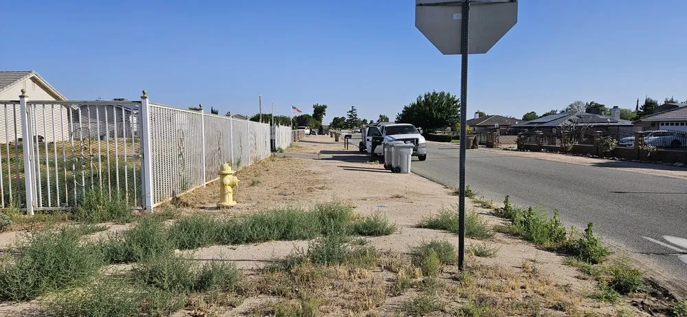 Reliable yard cleanup service for beautiful yards in Apple Valley, CA by Lesters Light hauling