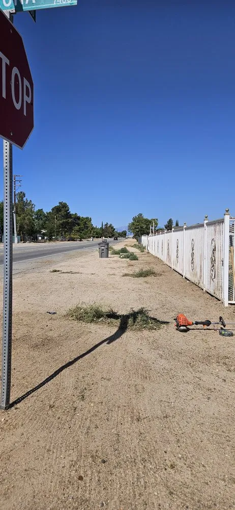 Custom lawn care service with custom design in Apple Valley, CA by Lesters Light hauling