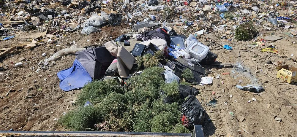 Reliable landscaping services experts serving Apple Valley, CA - Lesters Light hauling