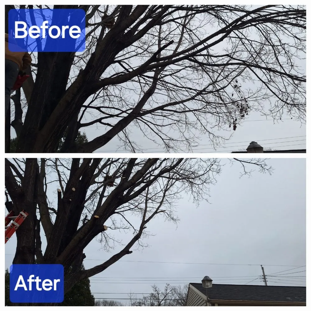 Custom yard cleanup service for year-round maintenance across Green Bay, WI - Lester’s Two Girls And A Guy