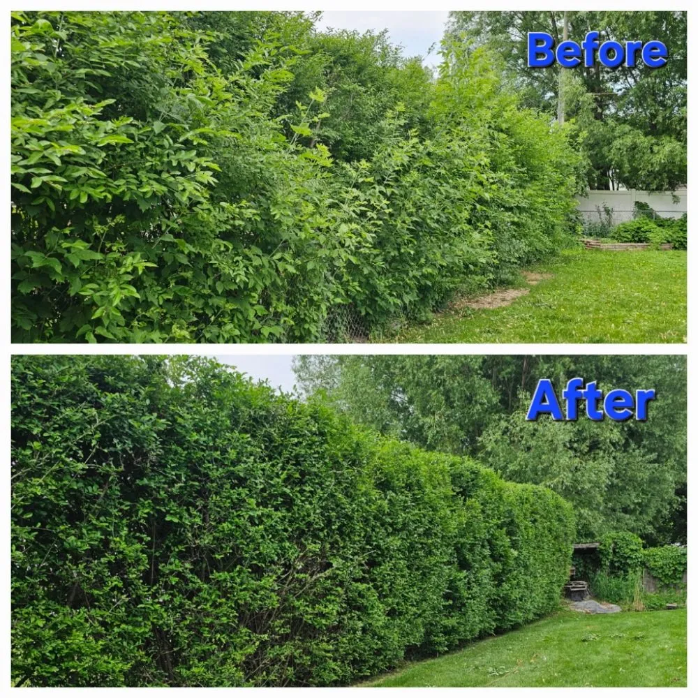 Local outdoor landscaping in Green Bay, WI - Lester’s Two Girls And A Guy