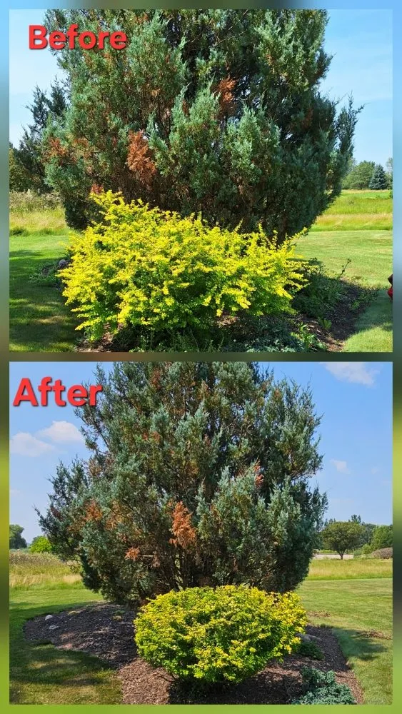 Professional landscaping services for homes in Green Bay, WI by Lester’s Two Girls And A Guy