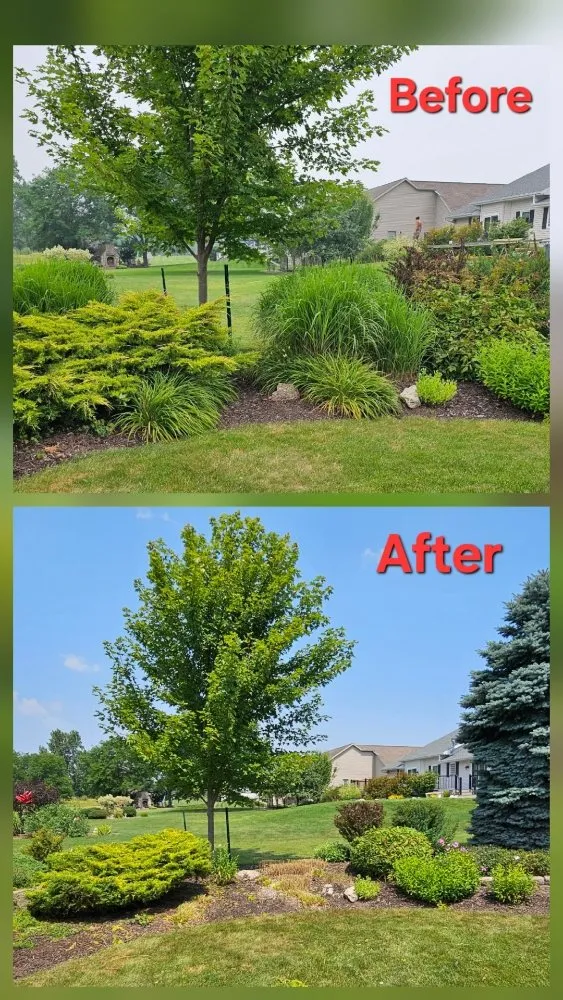 Professional outdoor landscaping in Green Bay, WI - Lester’s Two Girls And A Guy
