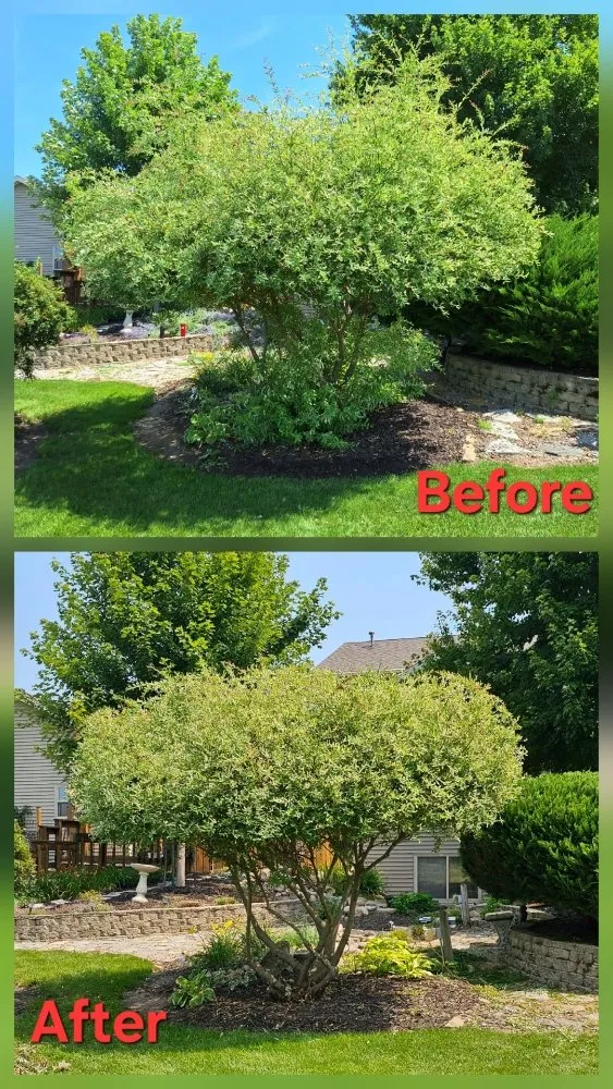 Trusted landscape installation with custom design across Green Bay, WI - Lester’s Two Girls And A Guy