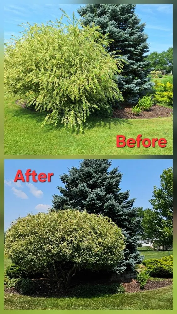 Trusted outdoor landscaping in Green Bay, WI - Lester’s Two Girls And A Guy