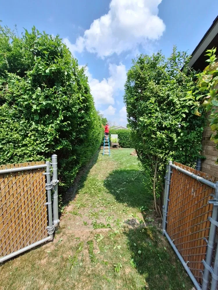 Affordable residential landscaping for beautiful yards in Green Bay, WI by Lester’s Two Girls And A Guy