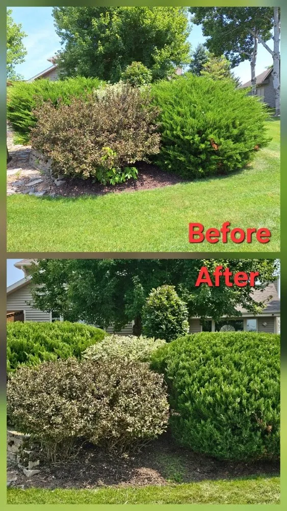 Expert lawn mowing service for homes in Green Bay, WI by Lester’s Two Girls And A Guy