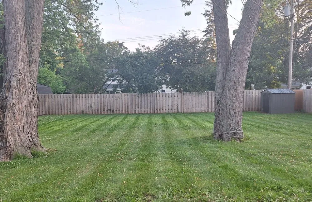 Trusted landscape design experts serving Green Bay, WI - Lester’s Two Girls And A Guy