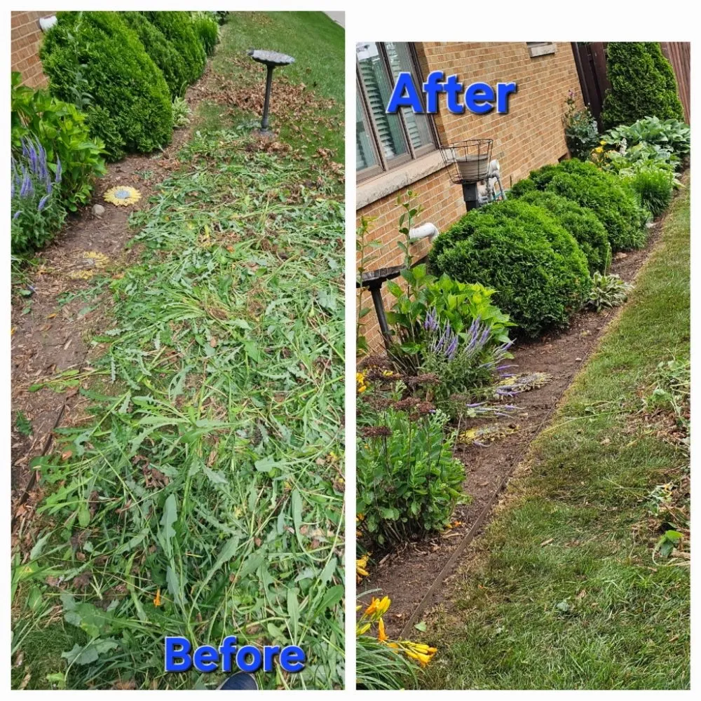 Affordable yard maintenance in Green Bay, WI by Lester’s Two Girls And A Guy
