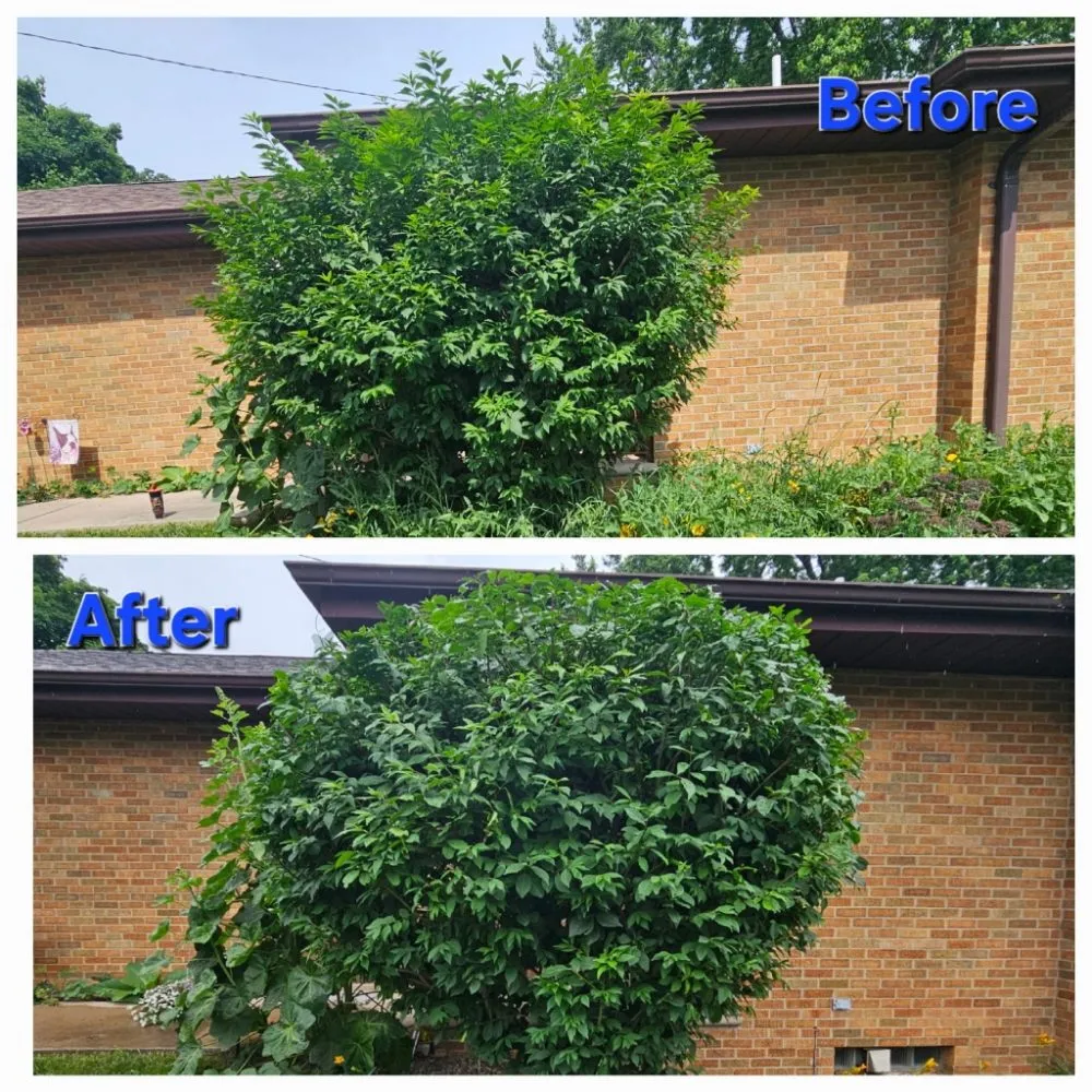 Local lawn care service with custom design across Green Bay, WI - Lester’s Two Girls And A Guy