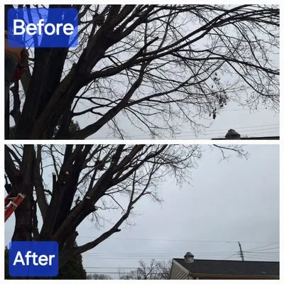 Lester’s Two Girls And A Guy Logo