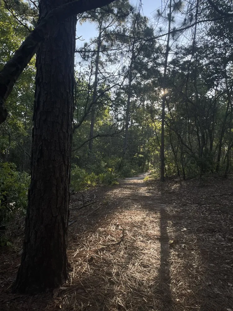 Local landscape installation in Bamberg, SC by Let Cade Do It