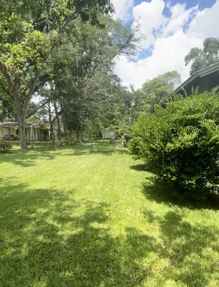 Affordable yard cleanup service in Bamberg, SC - Let Cade Do It