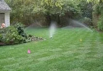 Local lawn care service for homes across Santa Barbara, CA - Let It Grow Landscapes