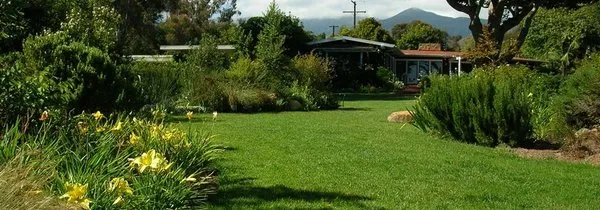 Let It Grow Landscapes Logo